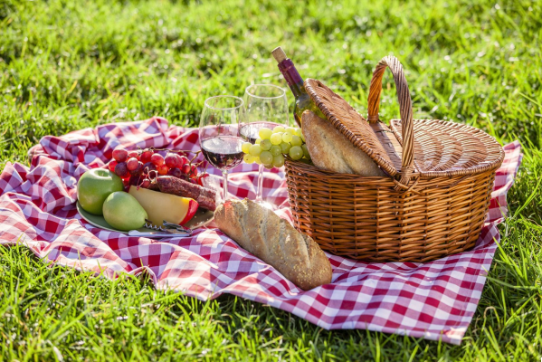 Picnics en Barcelona: Las Mejores Experiencias para Disfrutar al Aire Libre