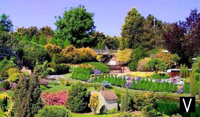 El jardín botánico