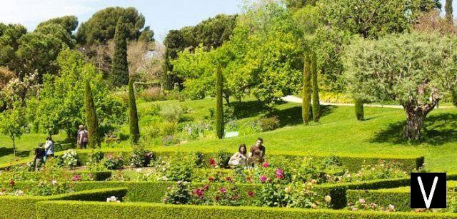 Barcelona: 7 parques donde respirar el verde