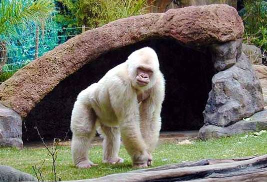 Zoo de Barcelona