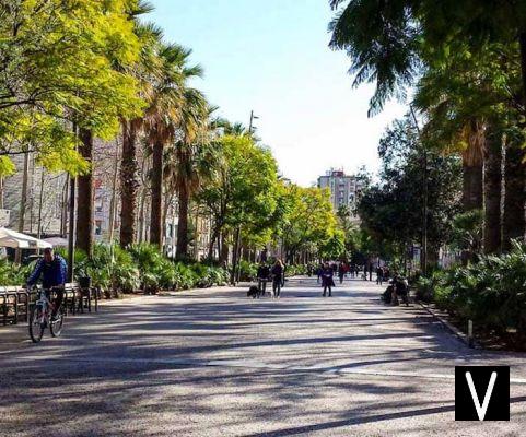 Il Raval: que ver y donde comer